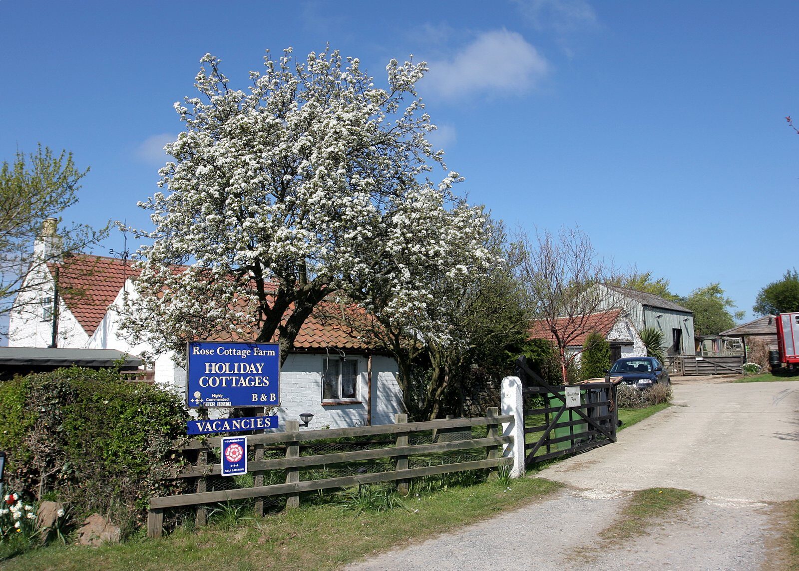 The Rose Cottage Farm holiday cottages sign beneath a blossoming tree at the entrance to the farm